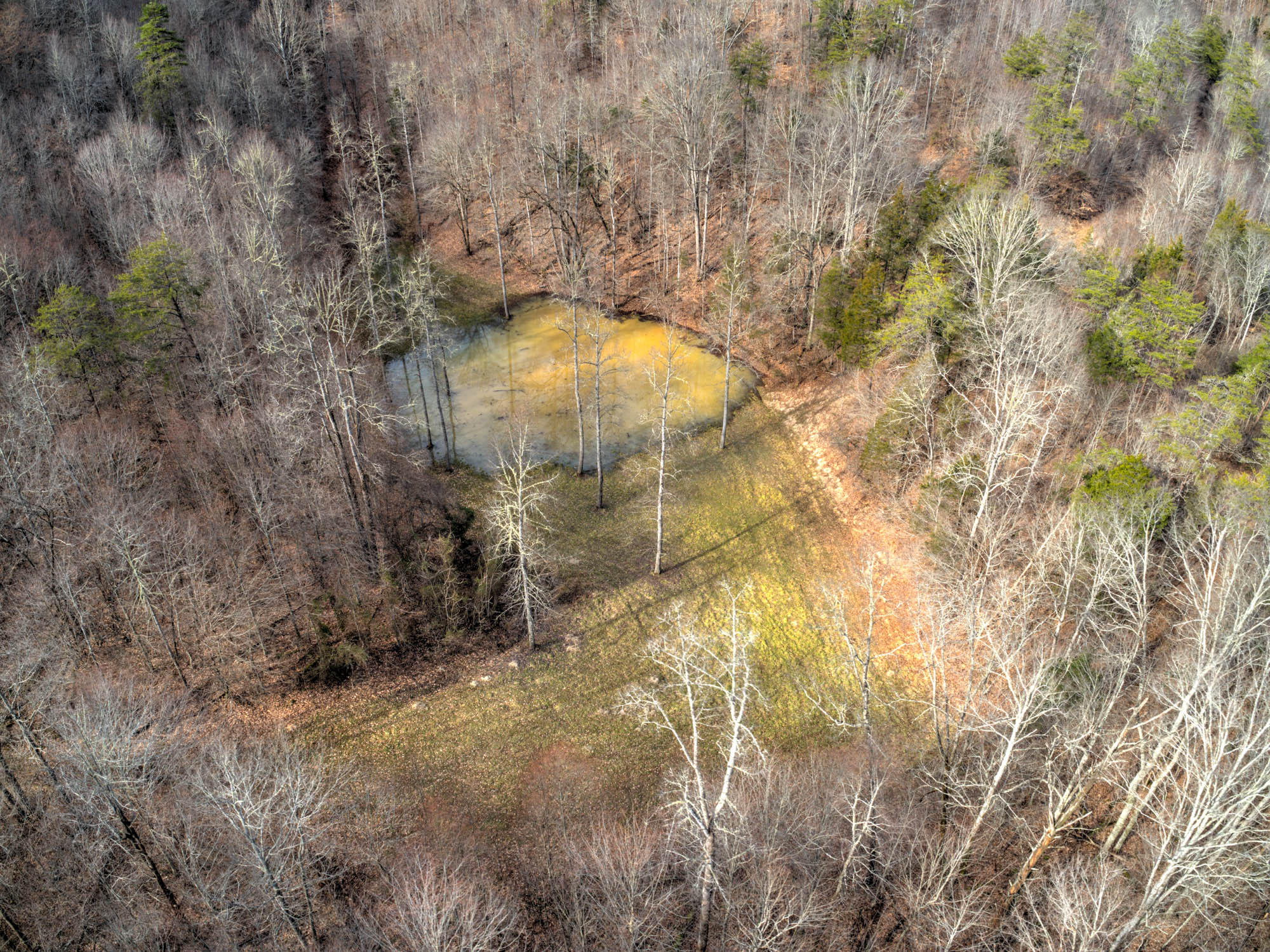 13866 Fairview Road, Unit 1 Blackwater, VA 24221 - Photo 40 of 44 13866 Fairview Rd-17