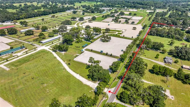 a view of a yard with large trees