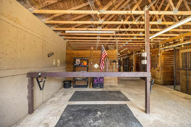 a green field with lots of trees