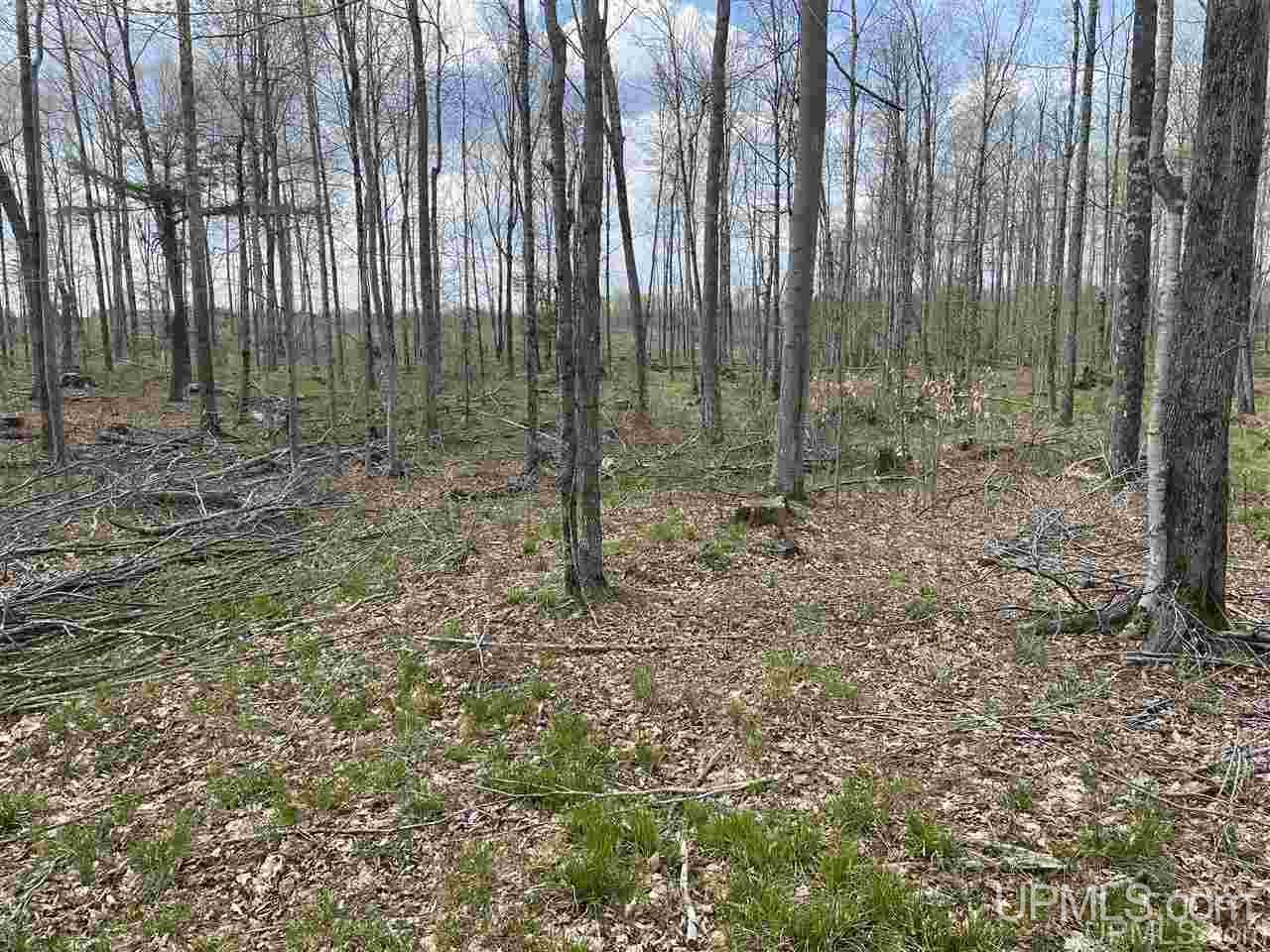Tbd Tbd Truax Road, Unit 1 Cornell, MI 49818 - Photo 24 of 43
