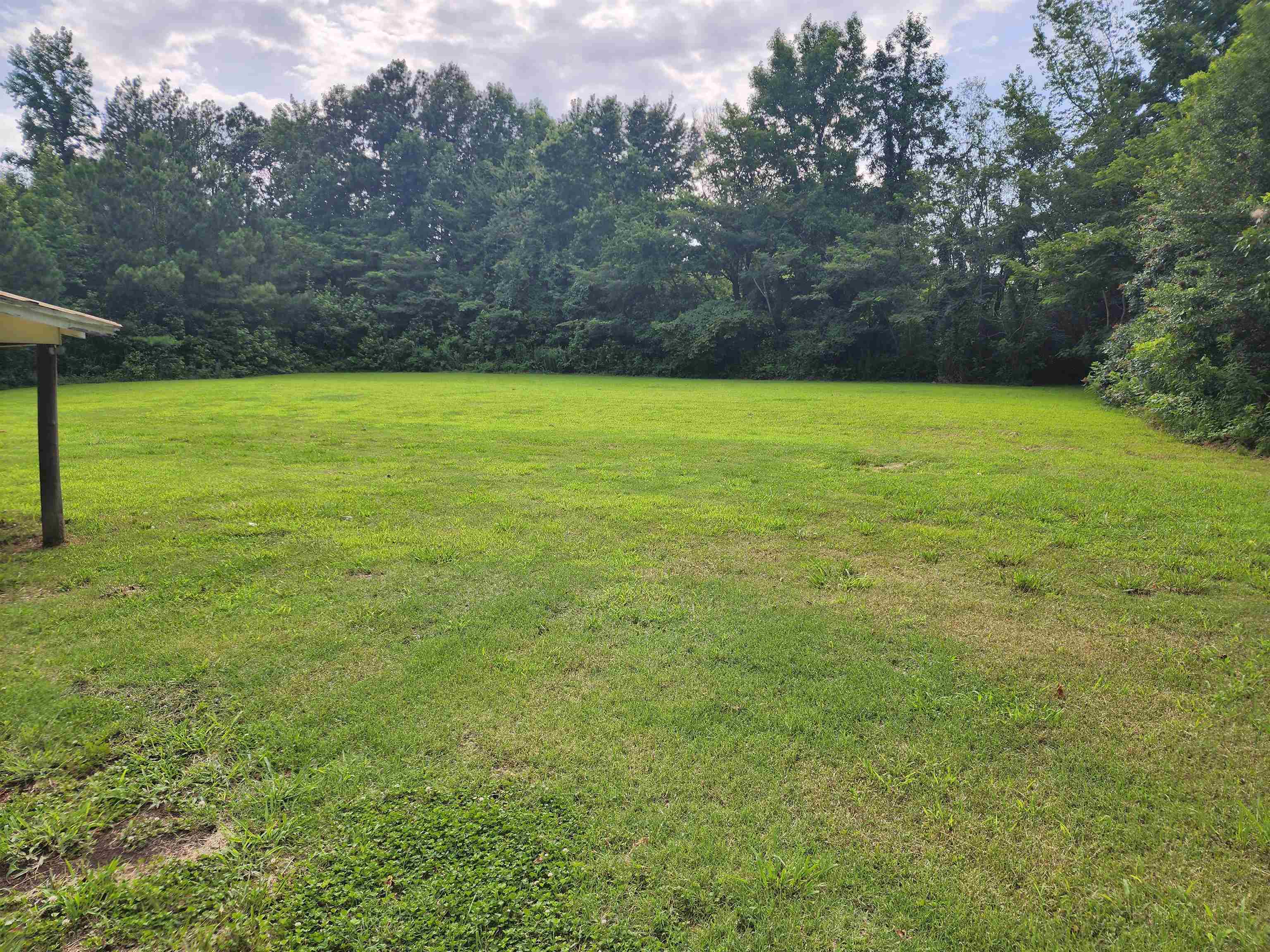 6673 Highway 209 Ripley, TN 38063 - Photo 13 of 13 a view of a big yard with a trampoline