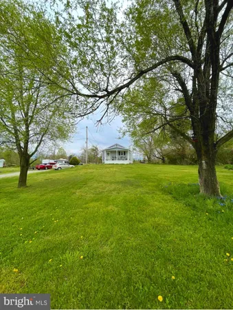a view of yard with green space