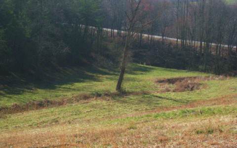 Lot 1 Hwy 5 Blue Ridge Roopville, GA 30170 - Photo 1 of 1 Main View