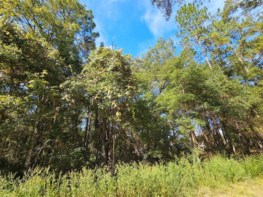 Tbd Southwest 21st Place Ocala, FL 34481 - Photo 2 of 6