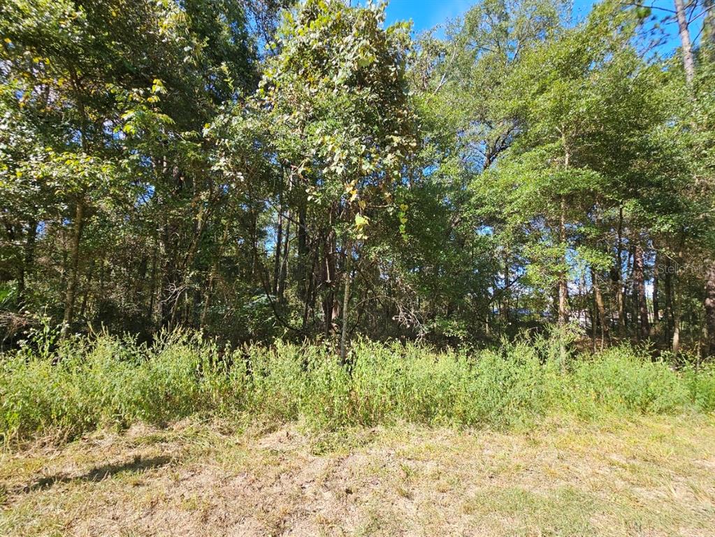 Tbd Southwest 21st Place Ocala, FL 34481 - Photo 3 of 6