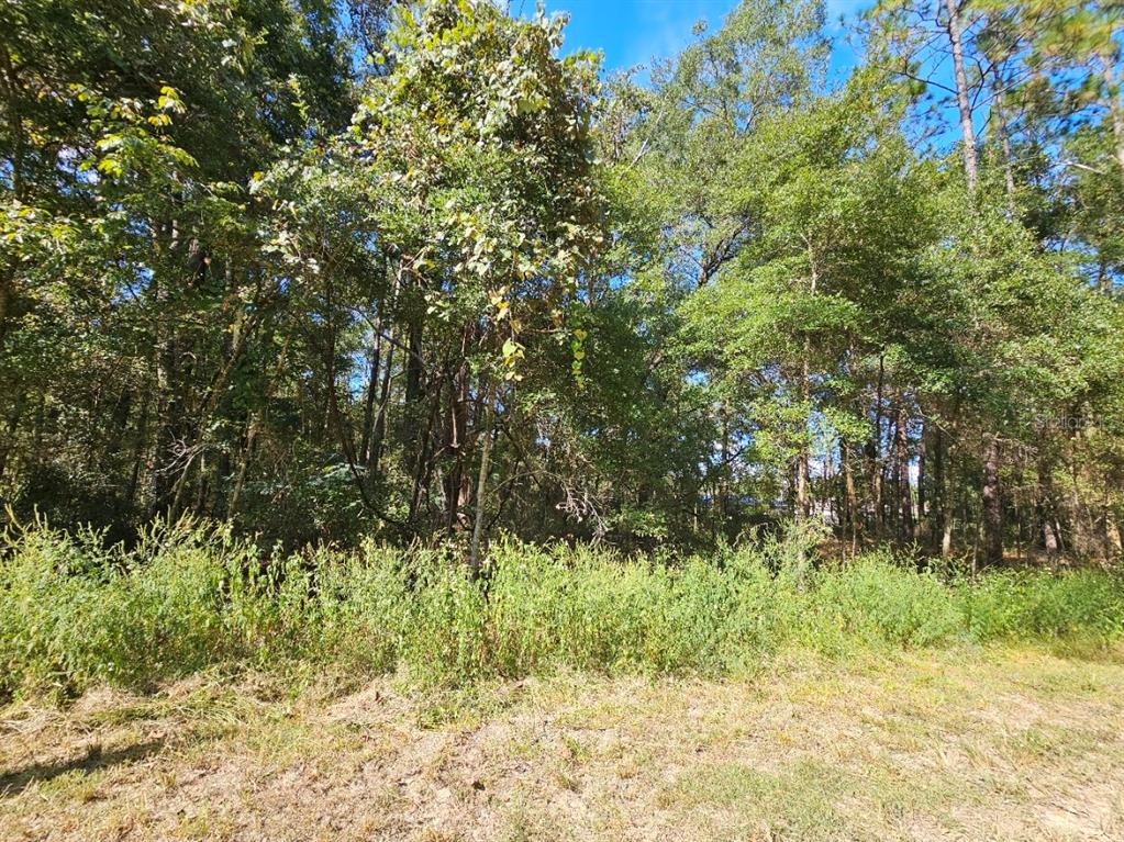 Tbd Southwest 21st Place Ocala, FL 34481 - Photo 4 of 6