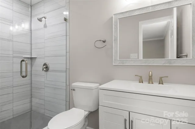a bathroom with a toilet sink vanity and shower