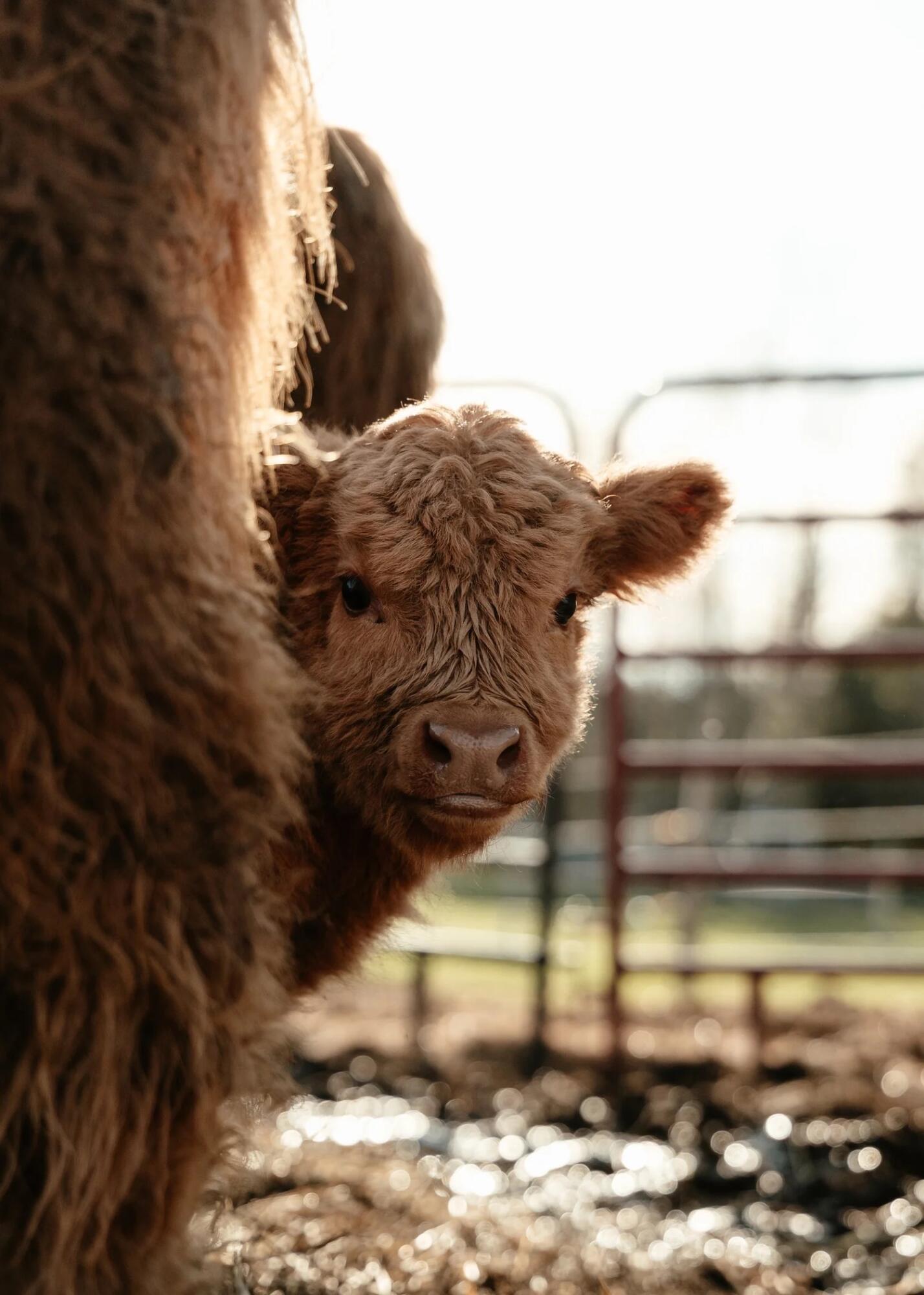 68 Pullen Road Dexter, ME 04930 - Photo 4 of 46 IMG_4264