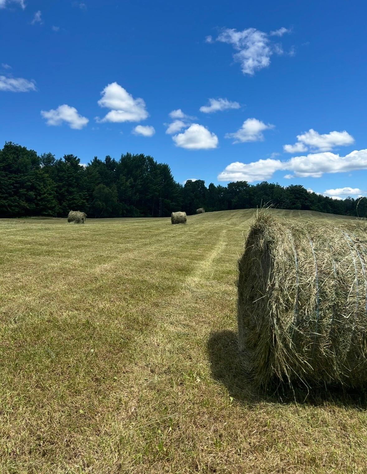 68 Pullen Road Dexter, ME 04930 - Photo 5 of 46 IMG_5048