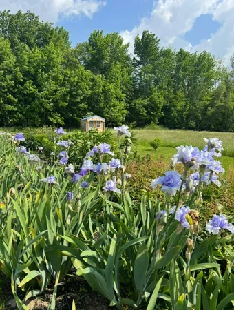 $440,000 | 68 Pullen Road, Dexter, ME 04930