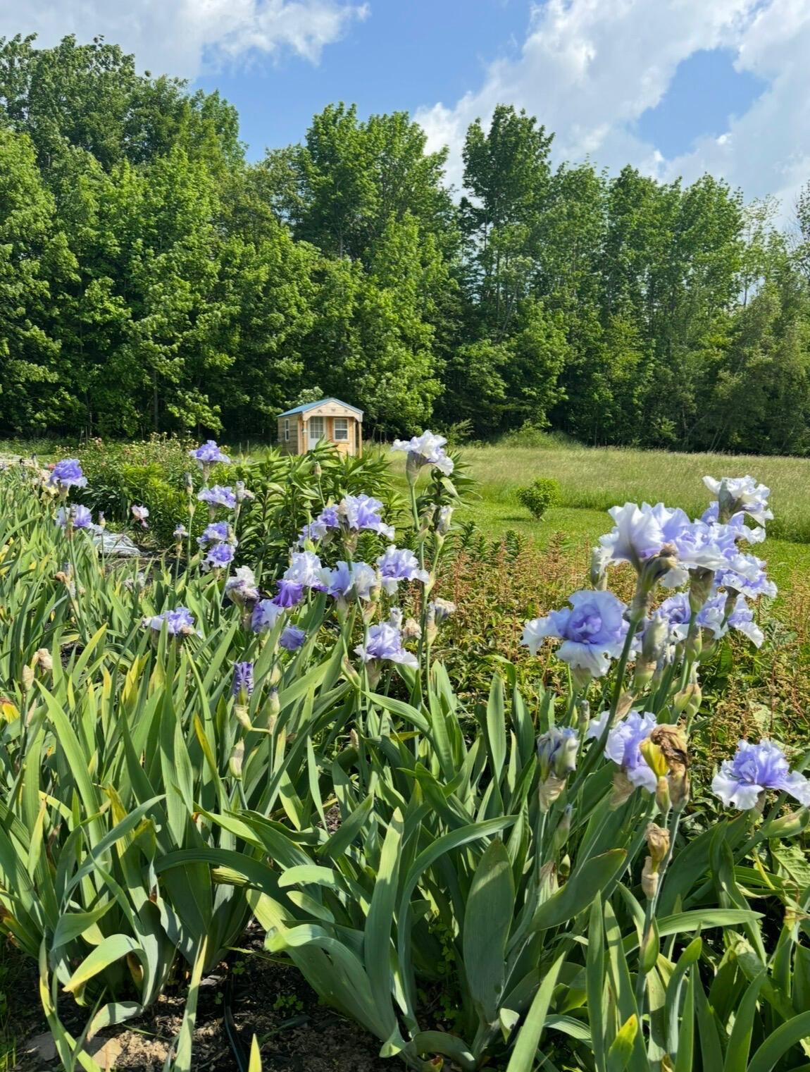 68 Pullen Road Dexter, ME 04930 - Photo 10 of 46 IMG_5046