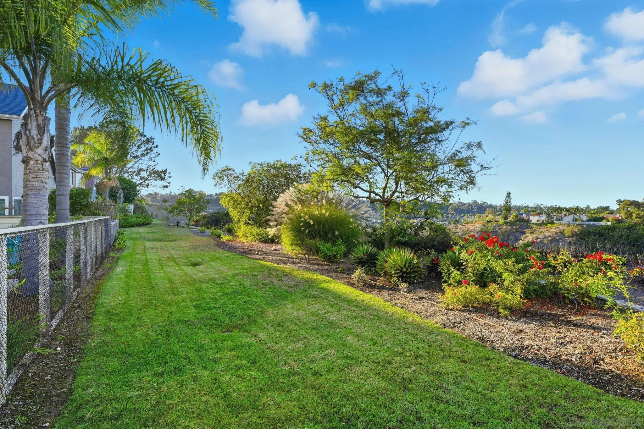 3626 Lorimer Lane Encinitas, CA 92024 - Photo 45 of 62 a view of a garden with a tree