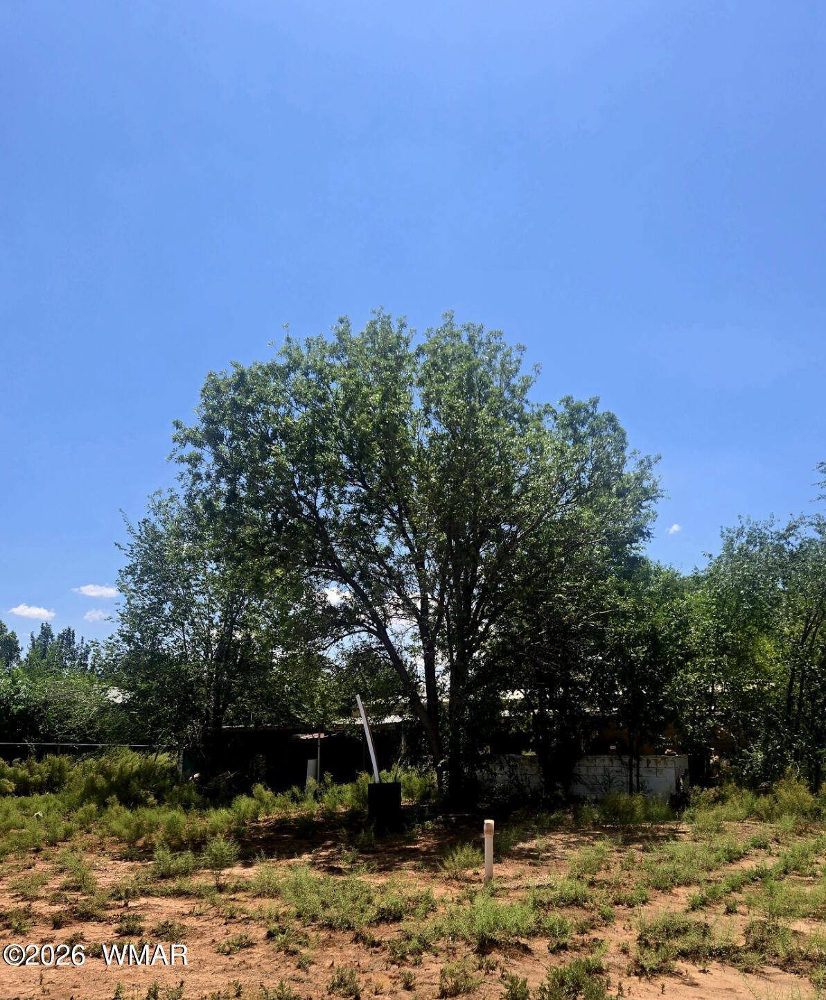 1811 West Mendell Road Holbrook, AZ 86025 - Photo 5 of 5 Gallery Image 5