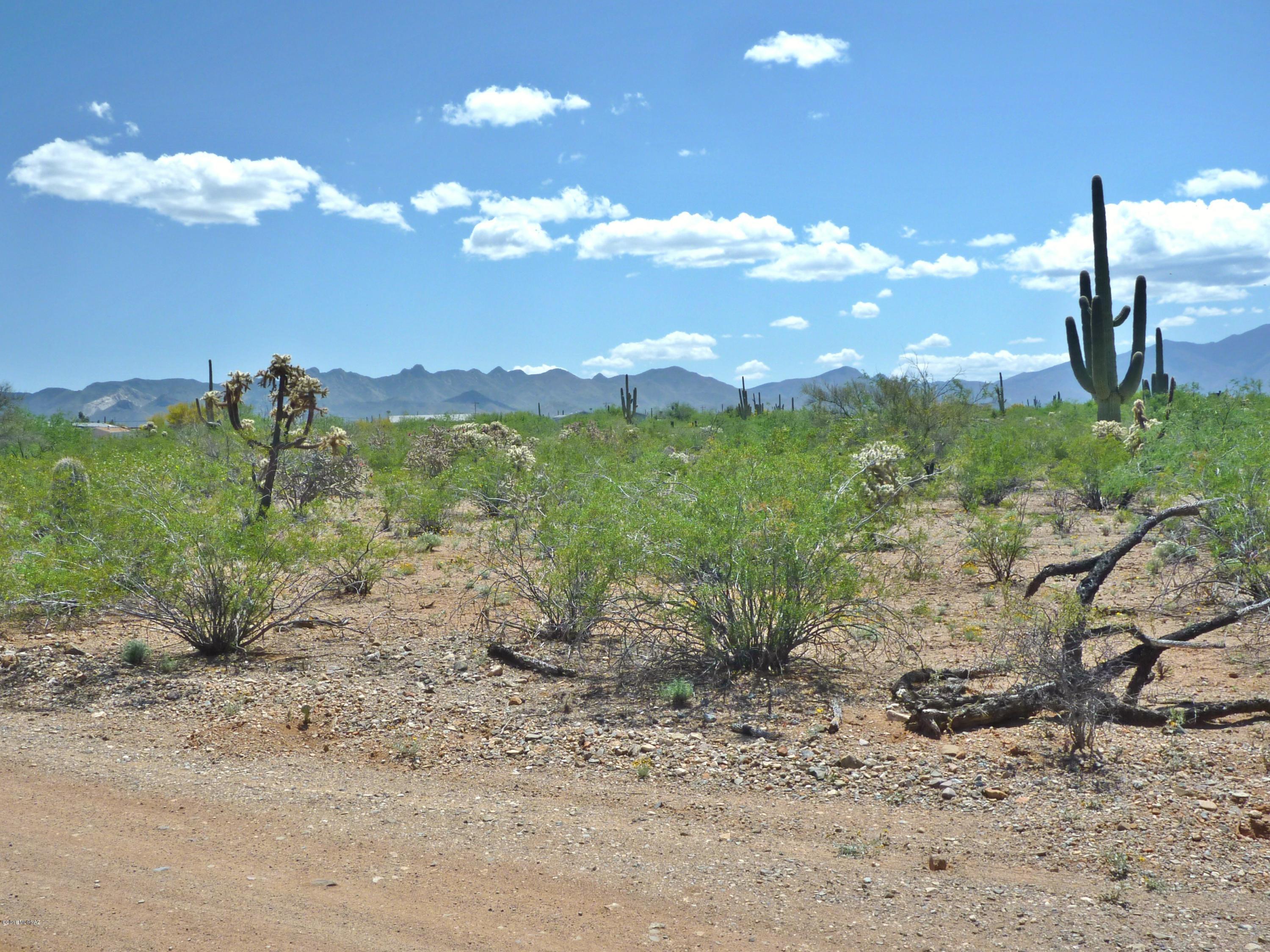 East Phantom Ranch Road Sahuarita, AZ 85629 - Photo 5 of 7