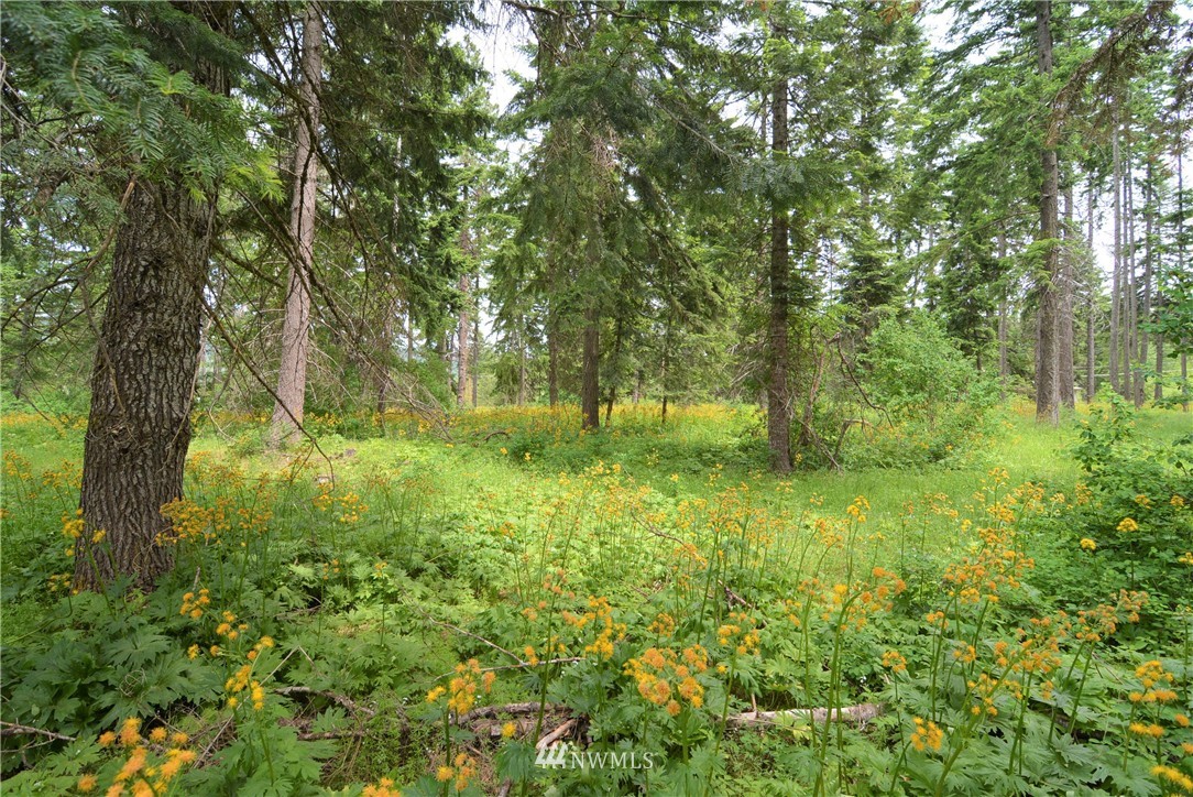 15 Nelson Siding Road Cle Elum, WA 98922 - Photo 4 of 8 Gallery Image 4