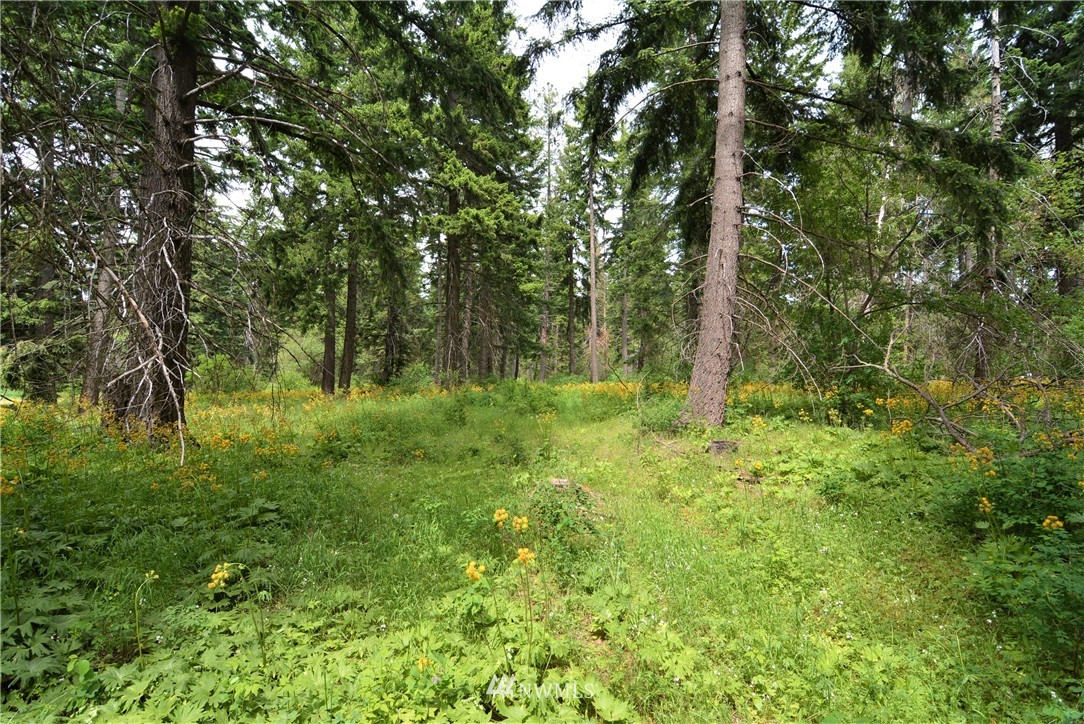 15 Nelson Siding Road Cle Elum, WA 98922 - Photo 7 of 8 Gallery Image 7