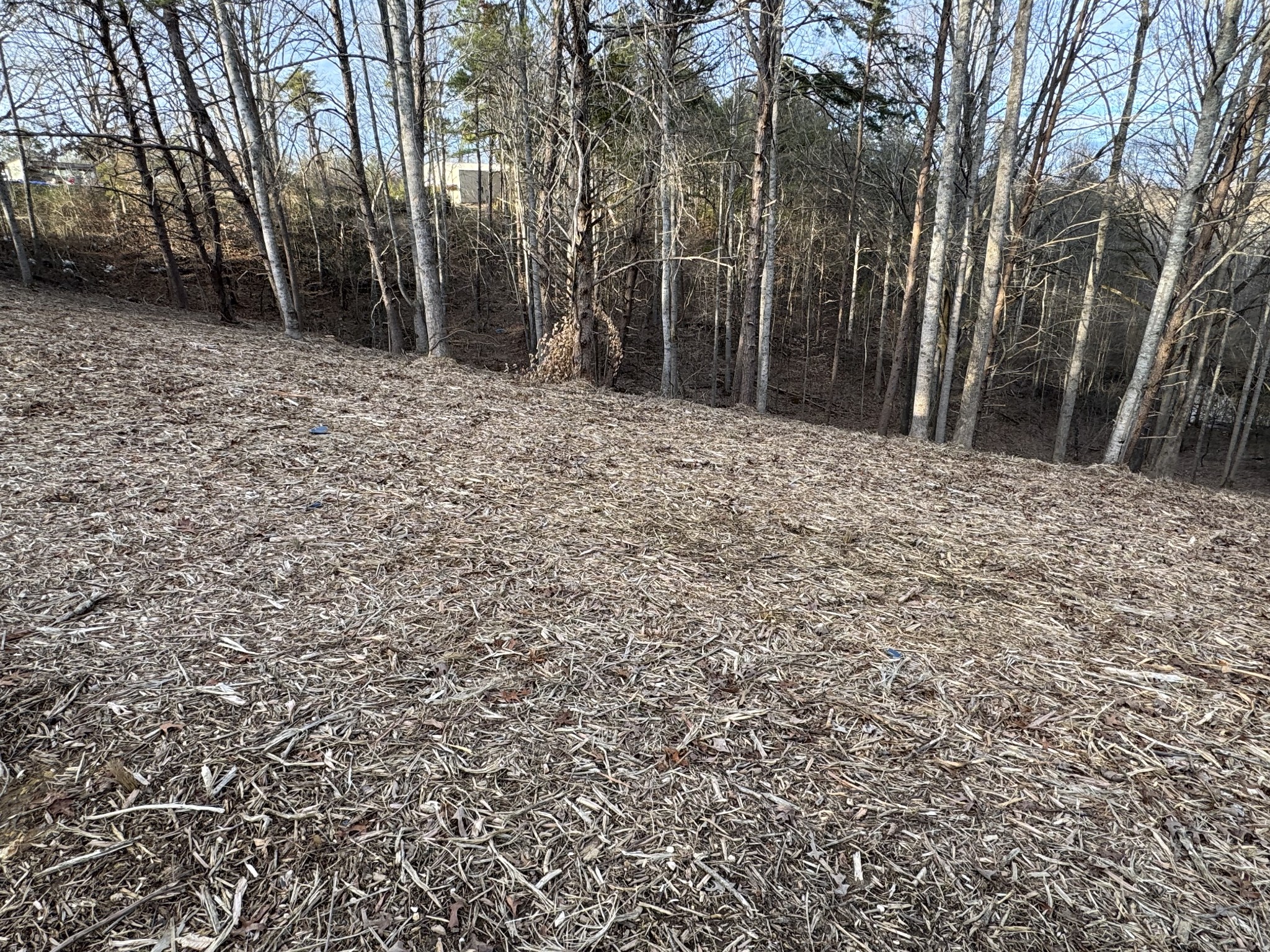 0 Poss Road Smithville, TN 37166 - Photo 4 of 7