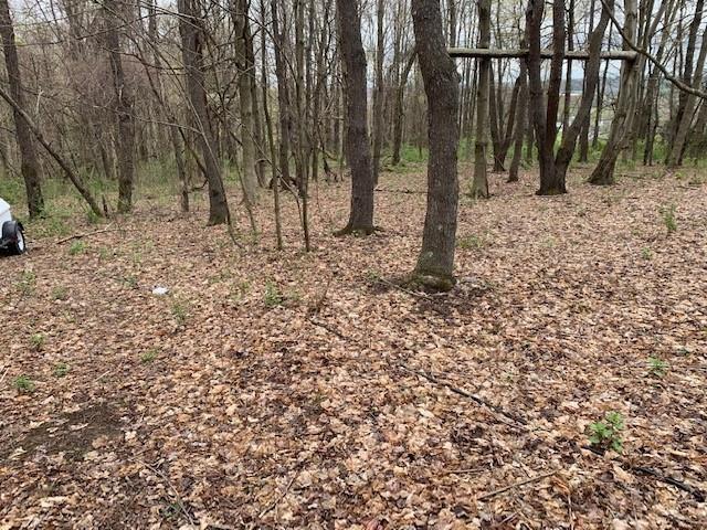 0 Moore Road Washington, PA 15301 - Photo 13 of 25 a view of a backyard with trees