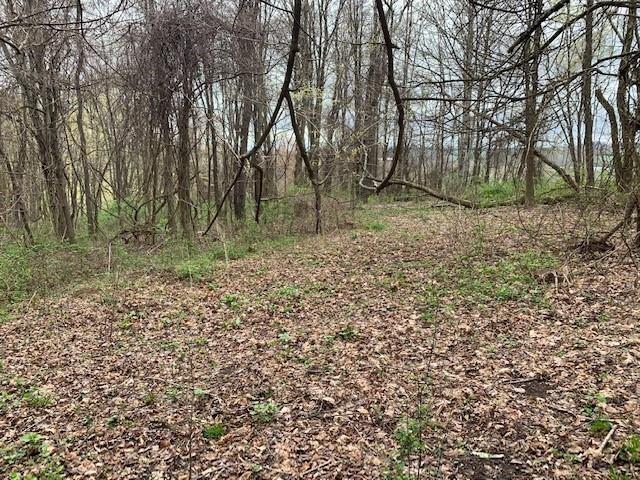 0 Moore Road Washington, PA 15301 - Photo 15 of 25 a backyard of a house with lots of green space
