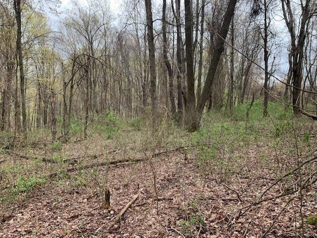 0 Moore Road Washington, PA 15301 - Photo 20 of 25 a view of a yard with large trees