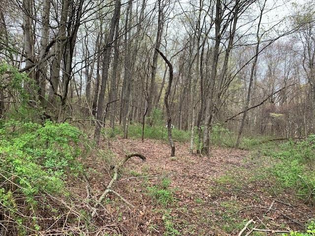 0 Moore Road Washington, PA 15301 - Photo 2 of 25 a backyard of a house with lots of green space
