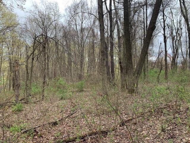0 Moore Road Washington, PA 15301 - Photo 21 of 25 a view of forest