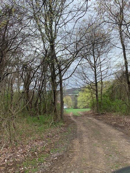 0 Moore Road Washington, PA 15301 - Photo 24 of 25 a view of outdoor space and trees