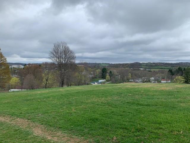 0 Moore Road Washington, PA 15301 - Photo 25 of 25 a view of a grassy field with an trees