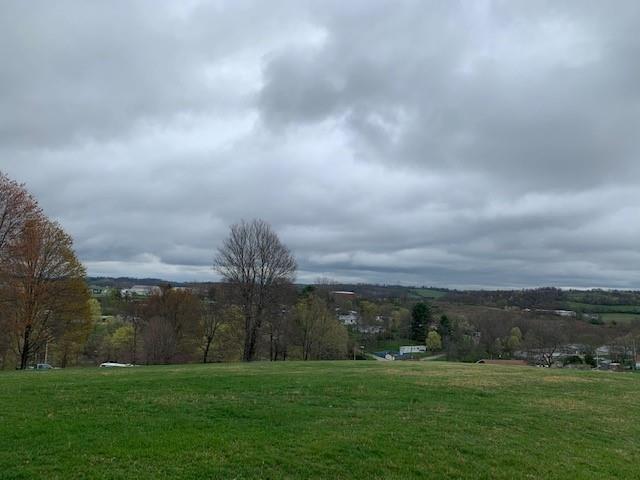0 Moore Road Washington, PA 15301 - Photo 3 of 25