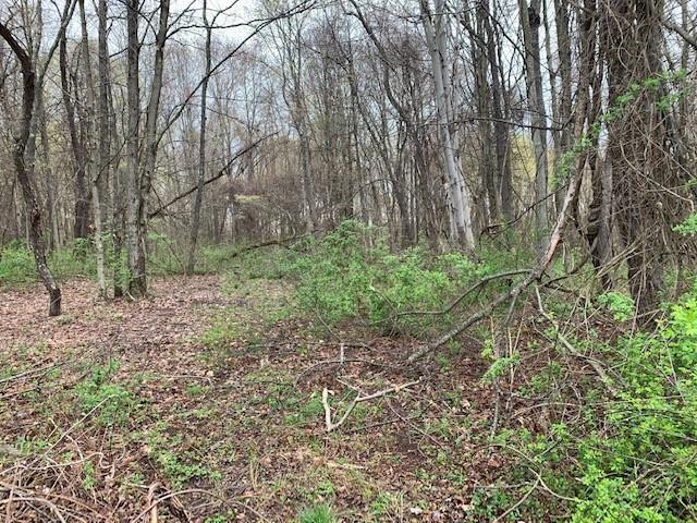 0 Moore Road Washington, PA 15301 - Photo 4 of 25 a big yard with lots of green space and deers