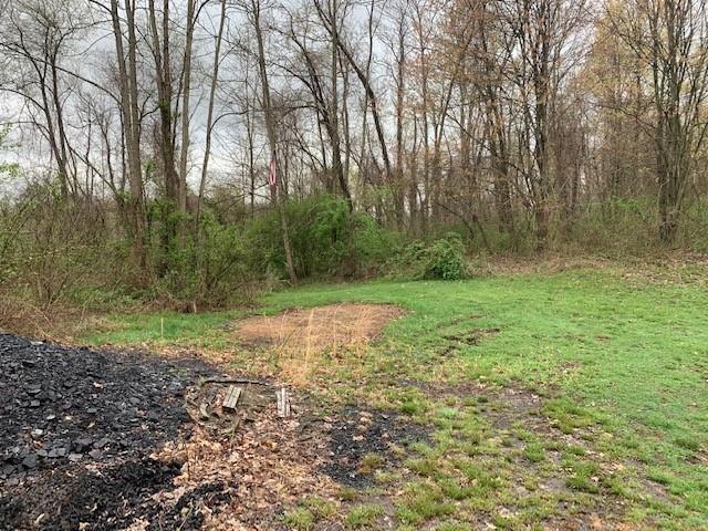 0 Moore Road Washington, PA 15301 - Photo 6 of 25 a view of a yard with a trees