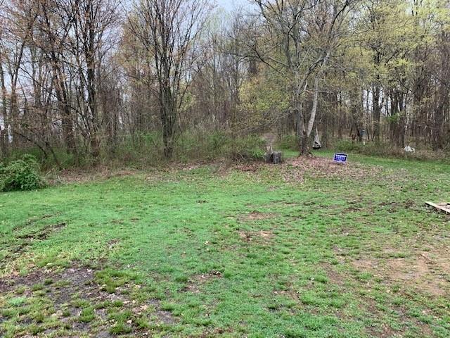 0 Moore Road Washington, PA 15301 - Photo 7 of 25 a backyard of a house with lots of green space