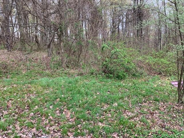 0 Moore Road Washington, PA 15301 - Photo 9 of 25 a view of a lush green forest