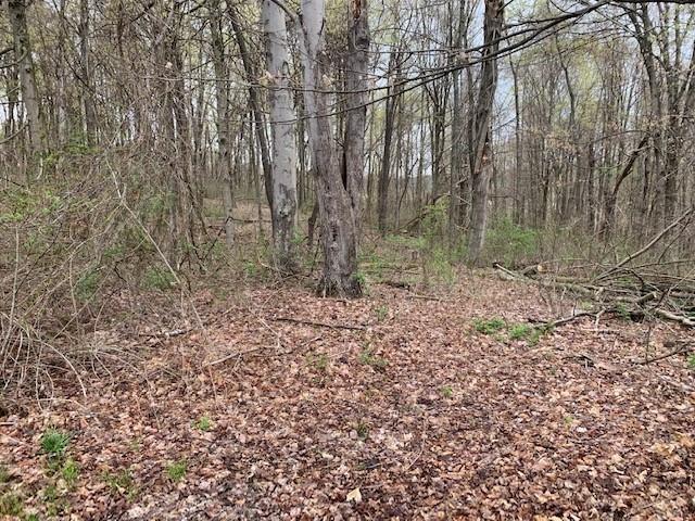 0 Moore Road Washington, PA 15301 - Photo 10 of 25 a view of a yard with large trees