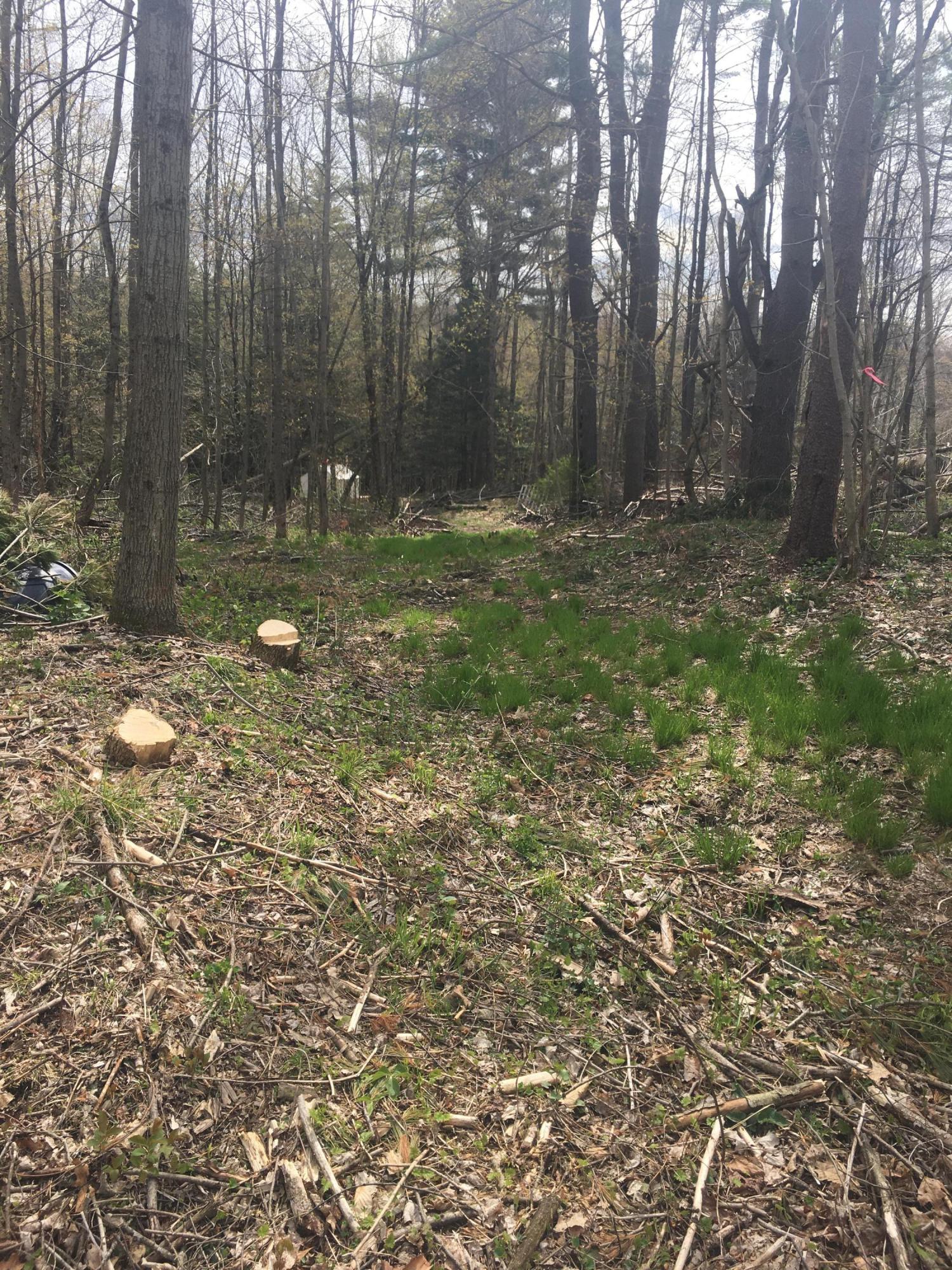 Lot 102 Tamarack Road Pittsfield, MA 01201 - Photo 5 of 11 Potential building site