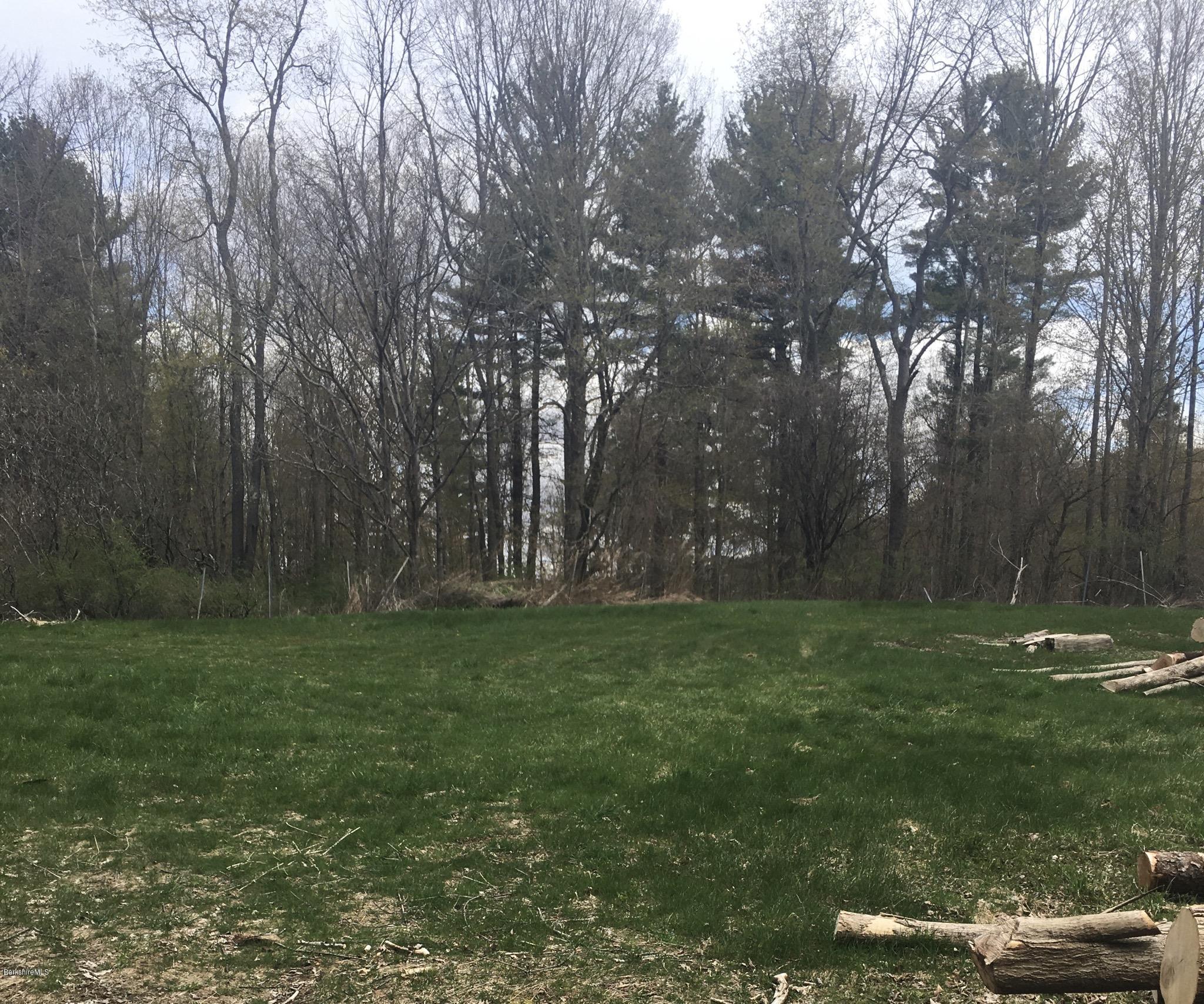 Lot 102 Tamarack Road Pittsfield, MA 01201 - Photo 7 of 11 Clearing before woods