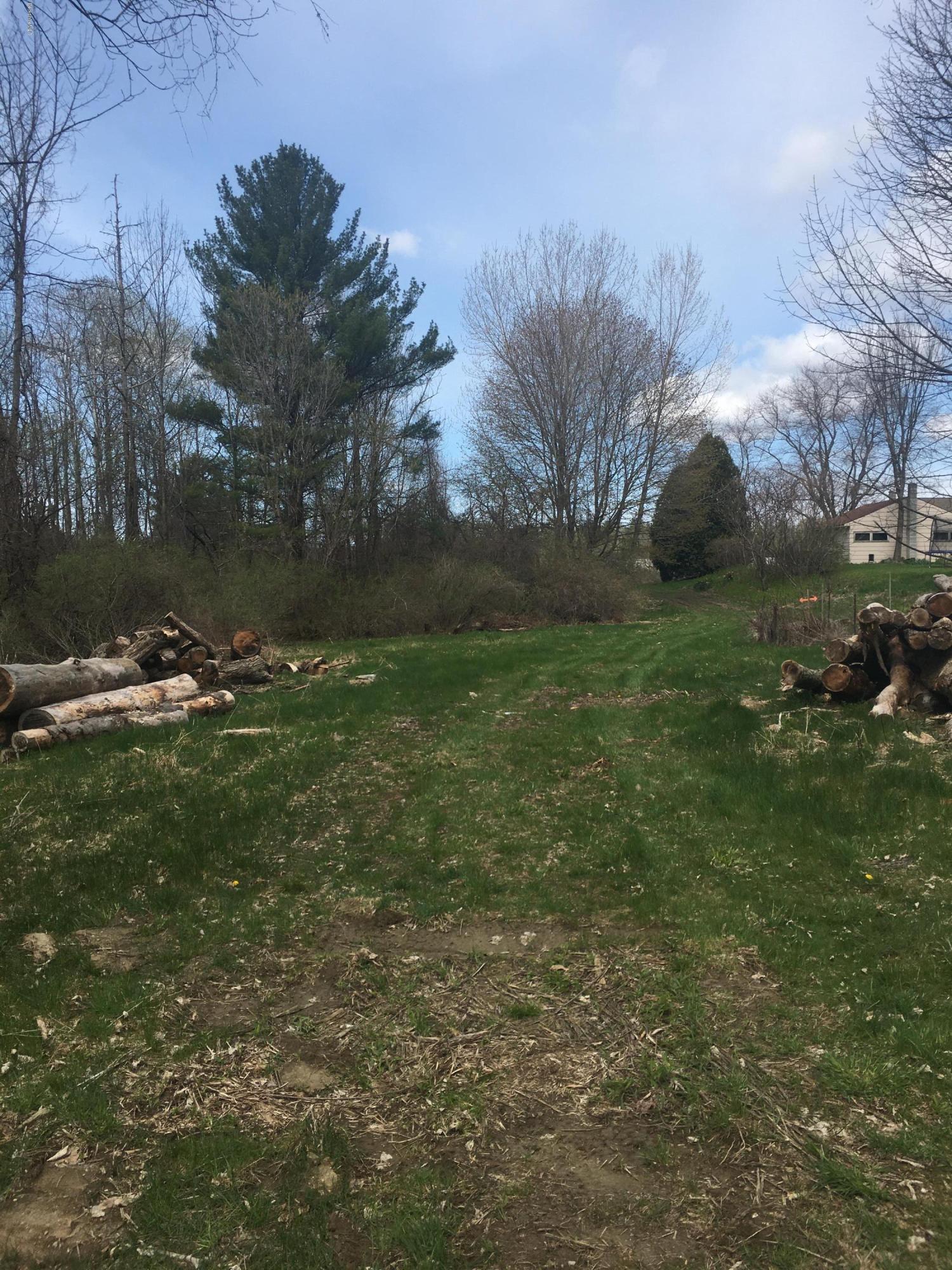 Lot 102 Tamarack Road Pittsfield, MA 01201 - Photo 8 of 11 Grassy area