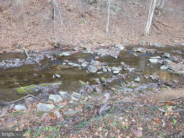 a backyard of a house with lots of plants and large trees