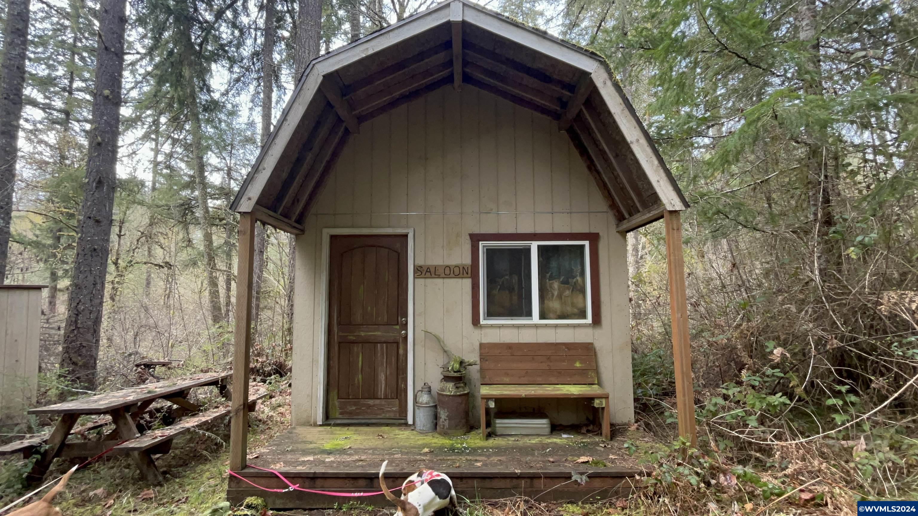 602 Santiam Terrace Road Lebanon, OR 97355 - Photo 5 of 10
