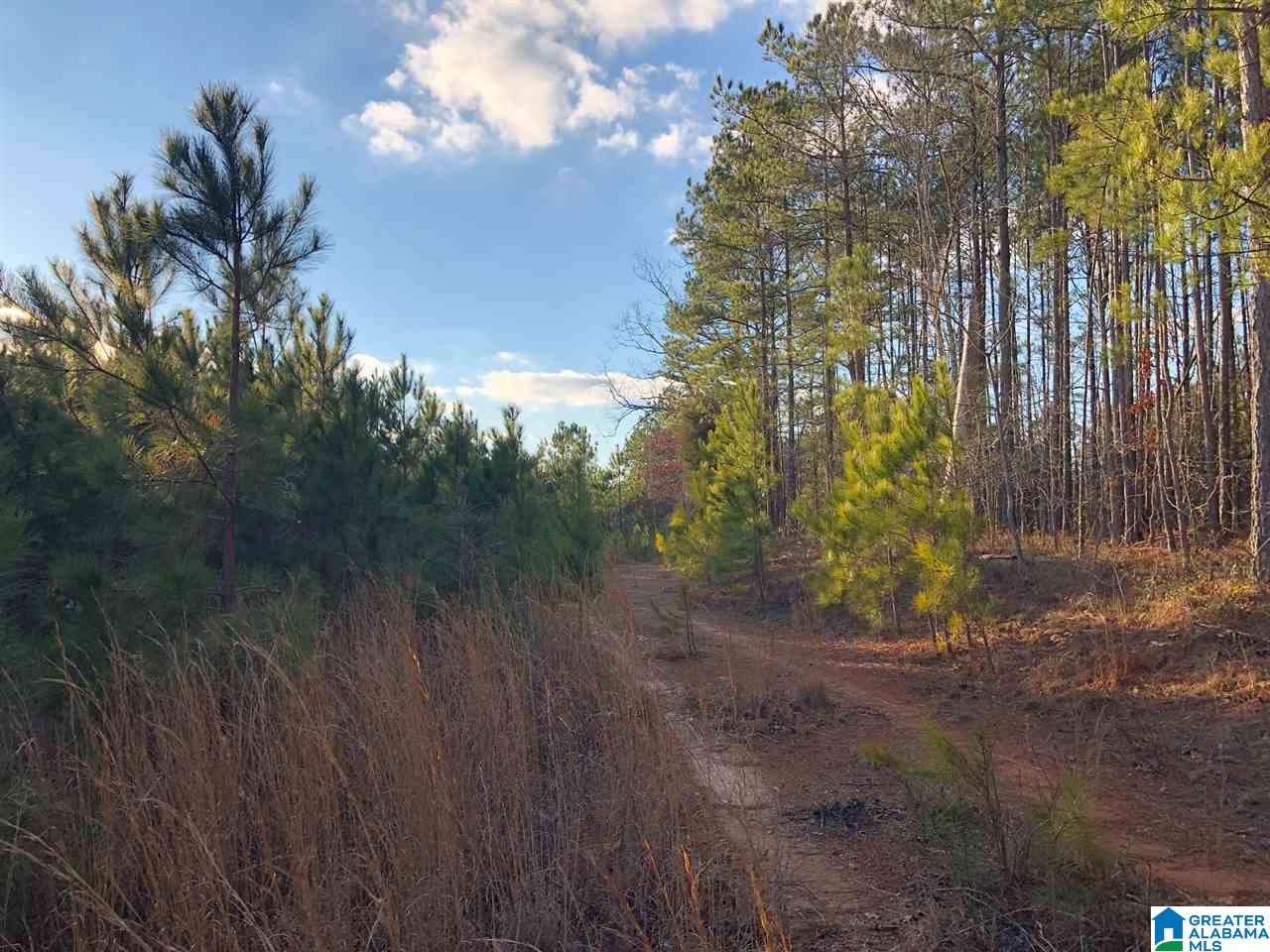 0 Duck Springs Road, Unit 2 PARCELS Attalla, AL 35954 - Photo 22 of 24