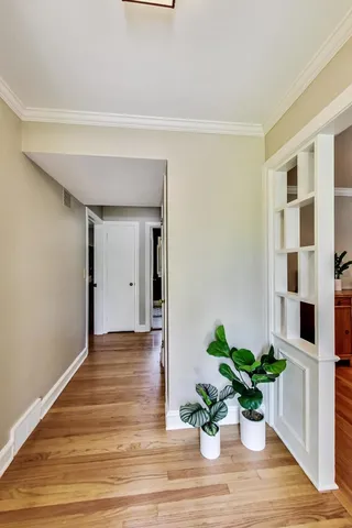 a view of a hallway with wooden floor and a potted plant