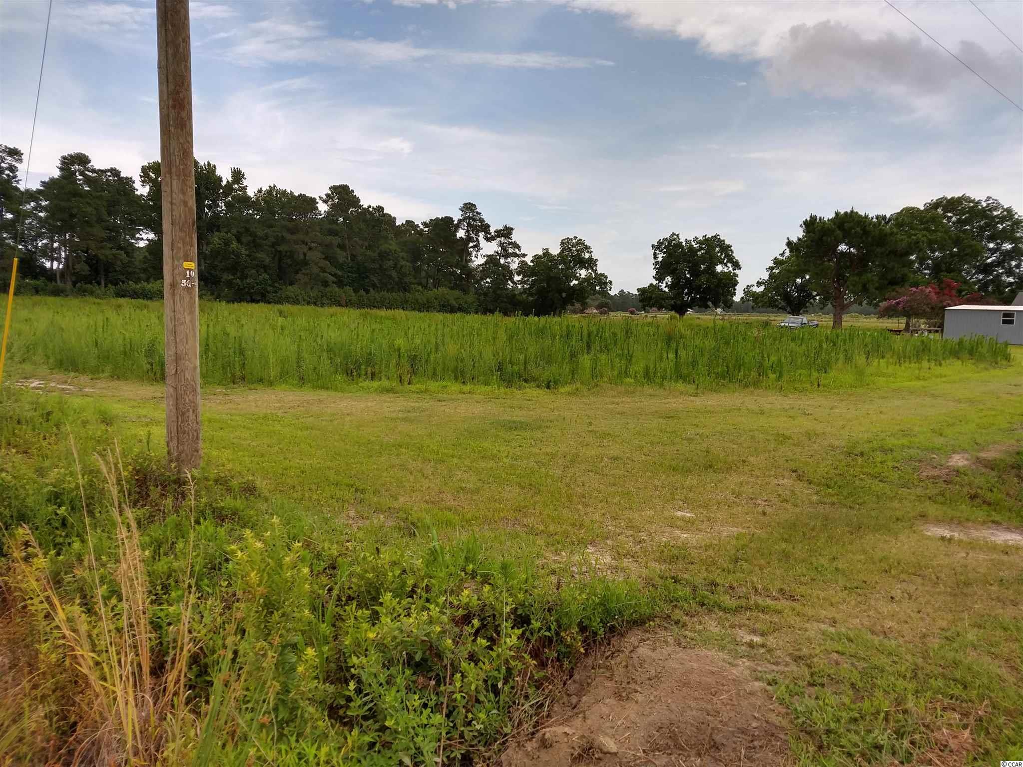 366 Highway 366 Loris, SC 29569 - Photo 3 of 6