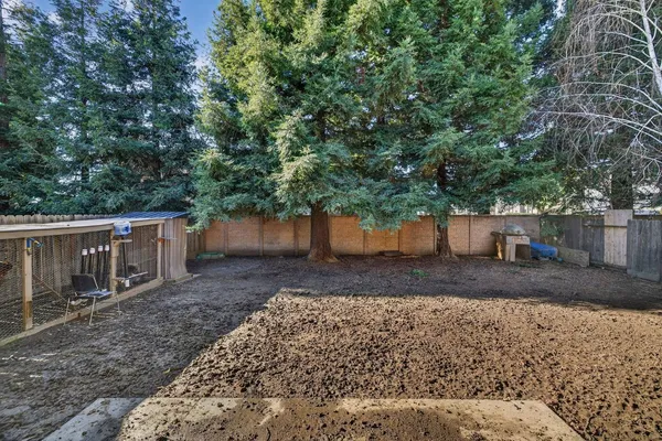 a view of a backyard with large trees and wooden fence