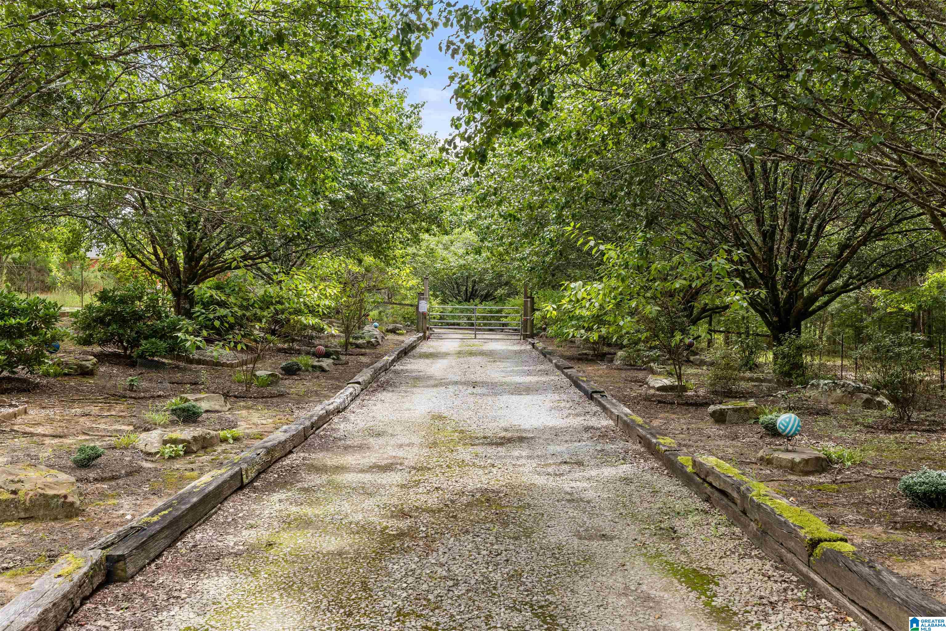 248 Gladden Road Springville, AL 35146 - Photo 8 of 54 Gallery Image 8