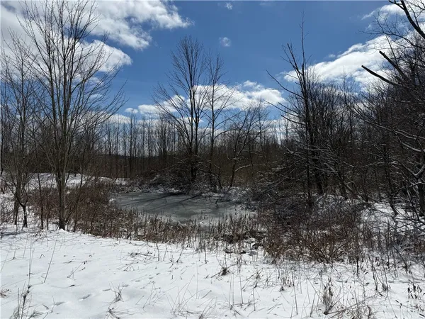 $134,900 | 1015 Langford Creek Road, Van Etten, NY 14889