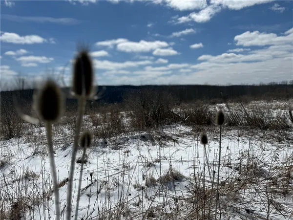 $134,900 | 1015 Langford Creek Road, Van Etten, NY 14889