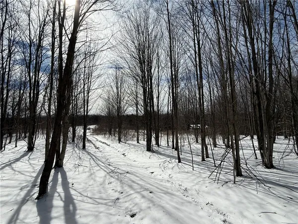 $134,900 | 1015 Langford Creek Road, Van Etten, NY 14889