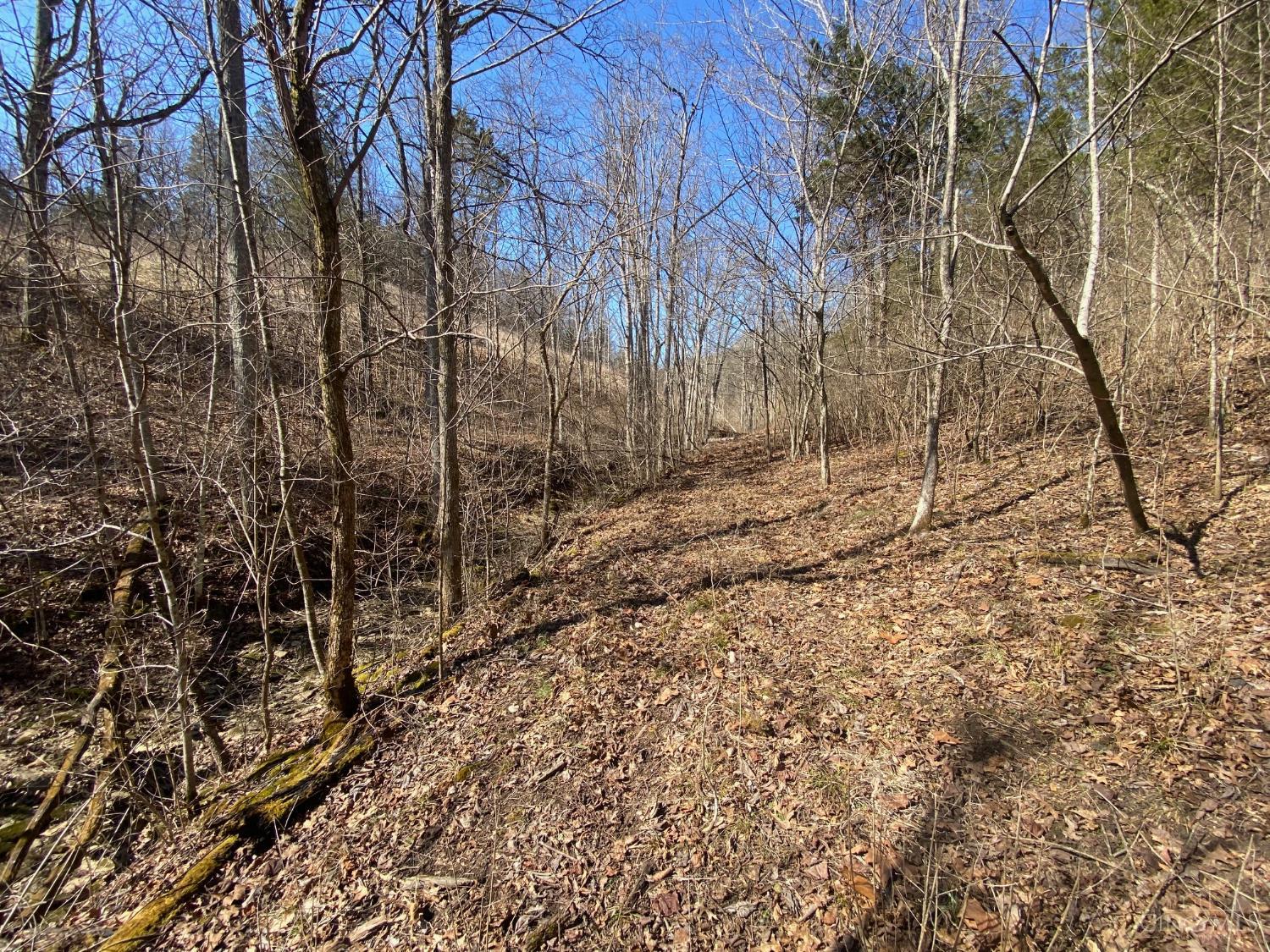 325 Old State Road Manchester, OH 45144 - Photo 12 of 27