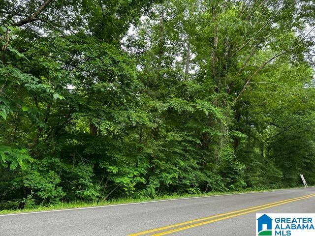 749 North Main Street, Unit 1 Graysville, AL 35073 - Photo 3 of 4
