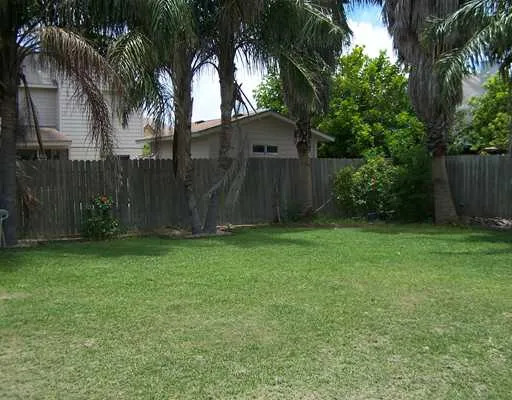 a view of backyard with palm trees